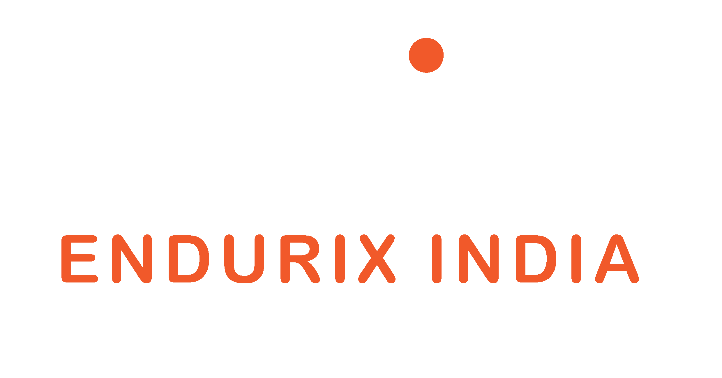 Endurix India